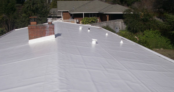 Technical Membranes for Roofing